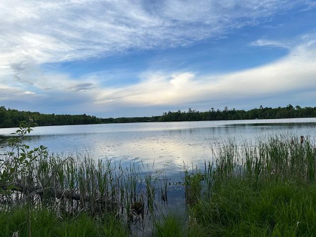 000 Deervine Trail, Tenstrike, Minnesota image 3