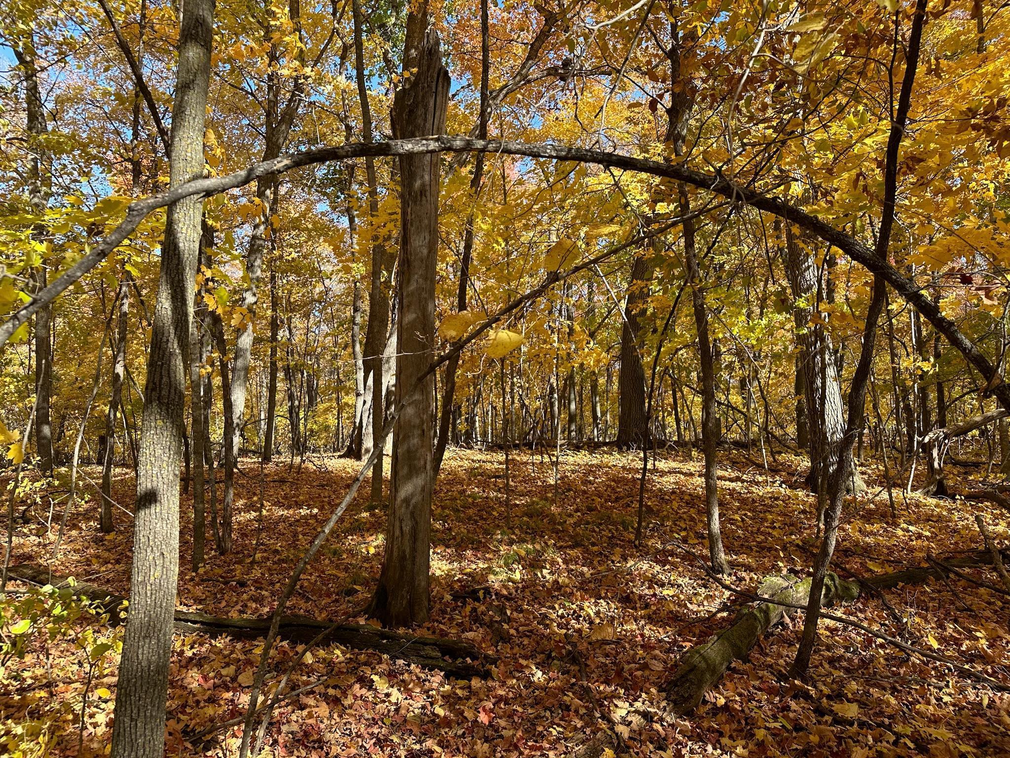 Tract B Pearl Lake Drive, Detroit Lakes, Minnesota image 38