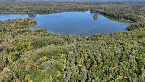 Vacant Land For Sale - TBD Kego Lake Road<br/> Fifty Lakes, MN 56448