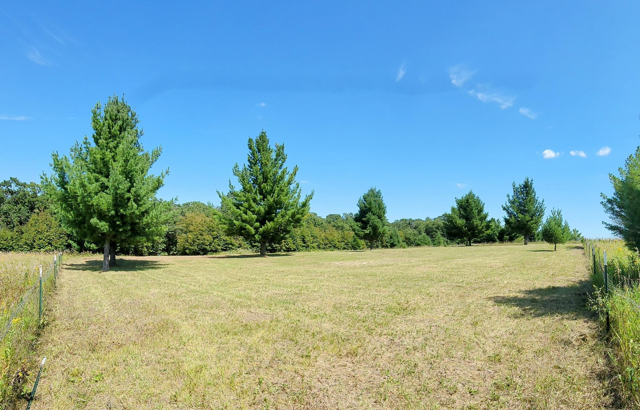 27731 400th Street, Browerville, Minnesota image 10