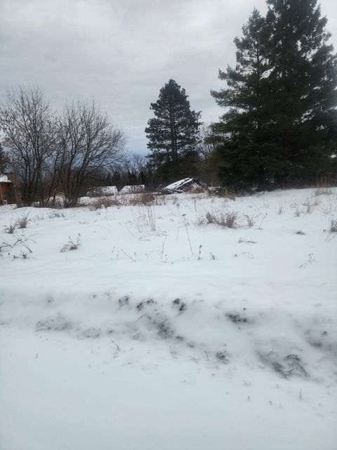 Vacant Land For Sale - 12096 Ramsey Street<br/> Koochiching County, Northome, MN 56661