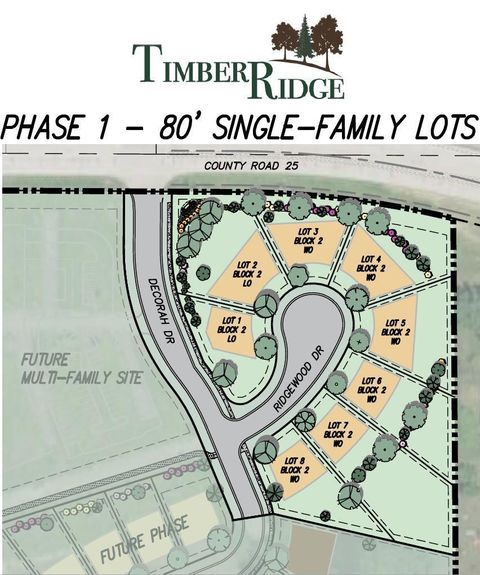 Vacant Land For Sale - 6814 Timberview Court<br/> Cannon Falls, MN 55009