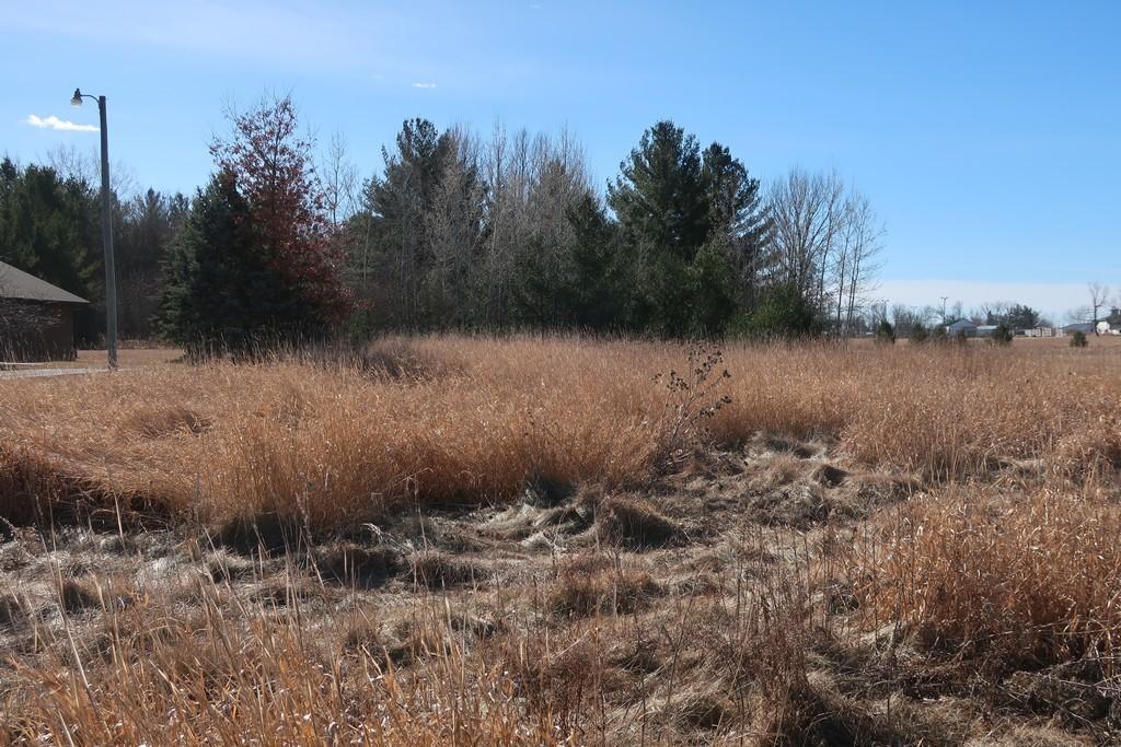Lot 1 State Road 70, Grantsburg, Wisconsin image 5