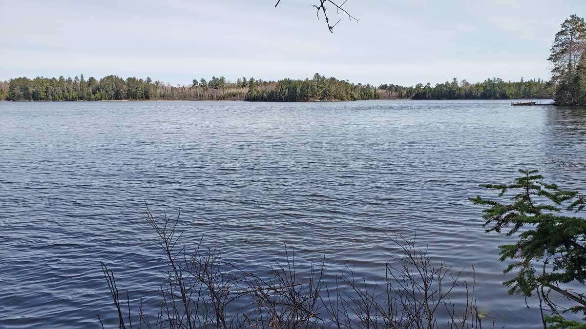 TBD Muskego Point, Cook, Minnesota image 3