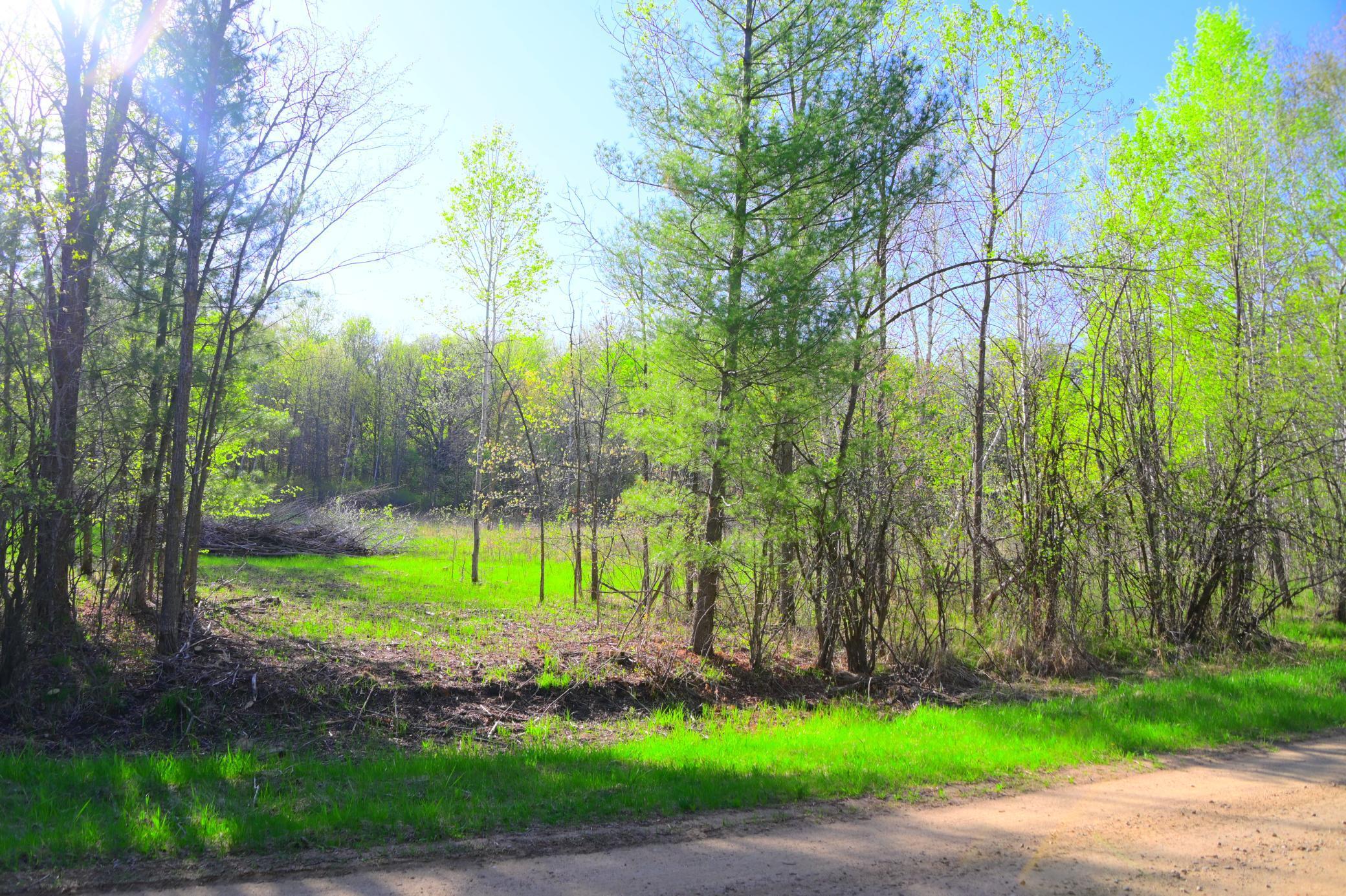 16 Oberon Loop, Browerville, Minnesota image 3