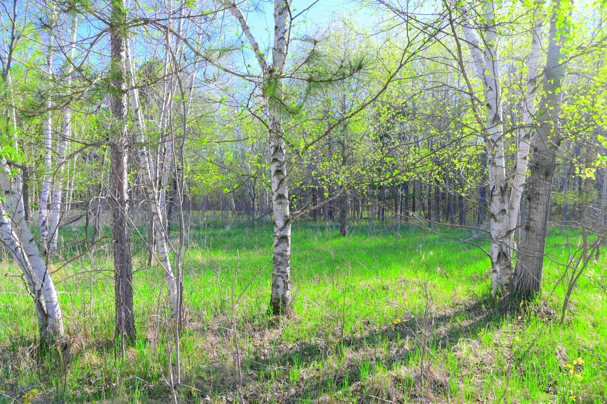 16 Oberon Loop, Browerville, Minnesota image 12