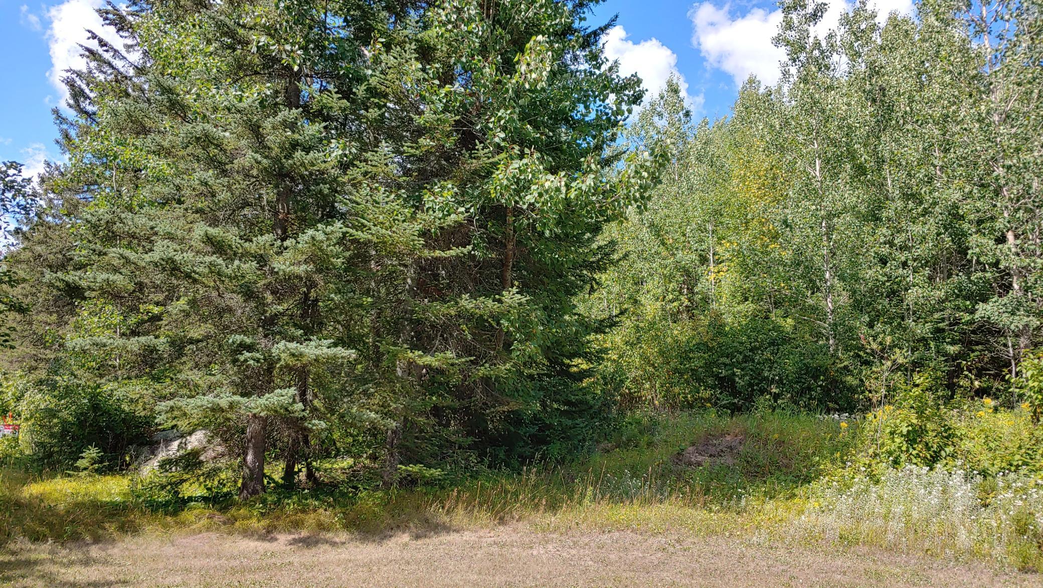 10339-Lot 4 Ash River Trail, Orr, Minnesota image 8