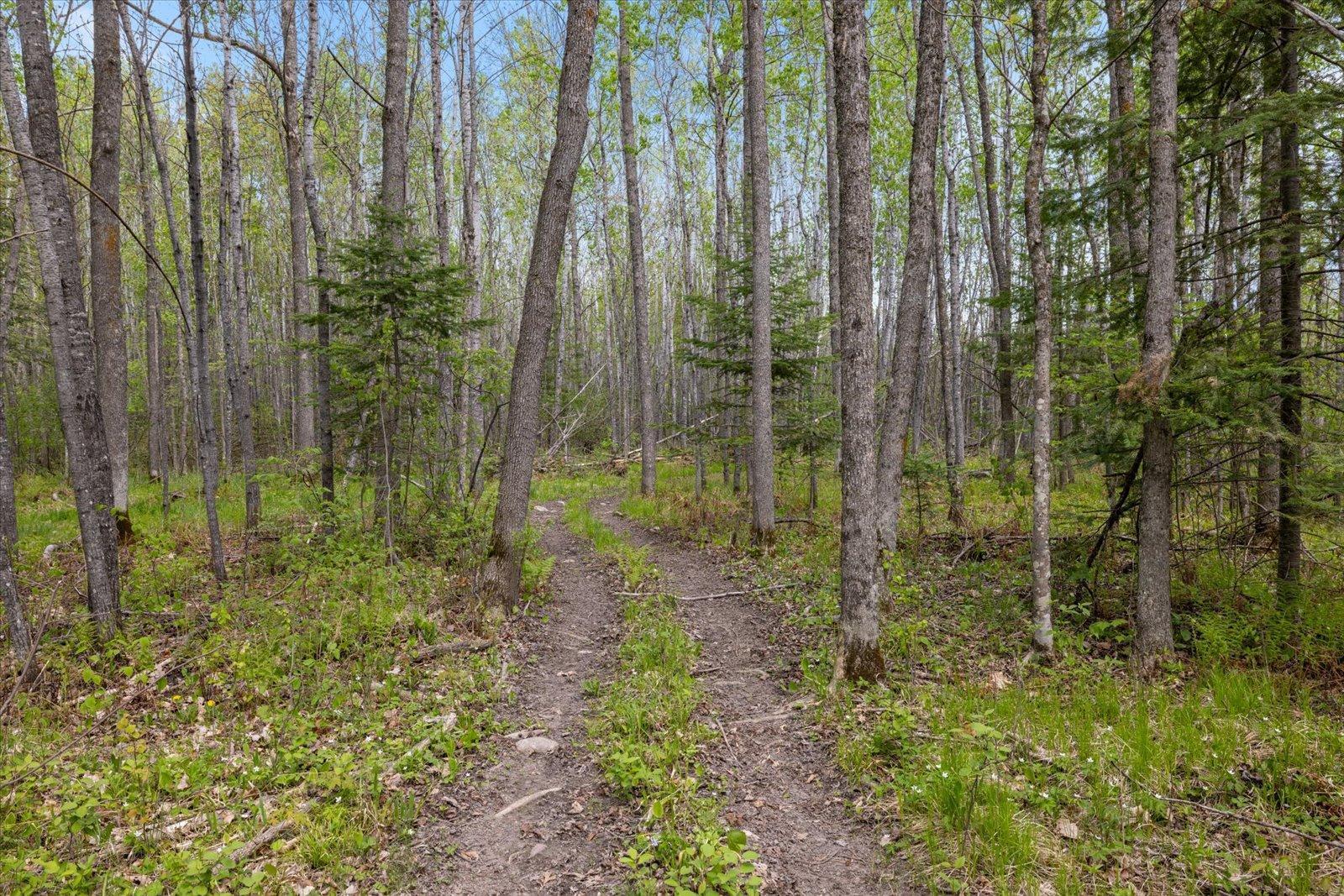 TBD Trout Lake Rd., Bovey, Minnesota image 9