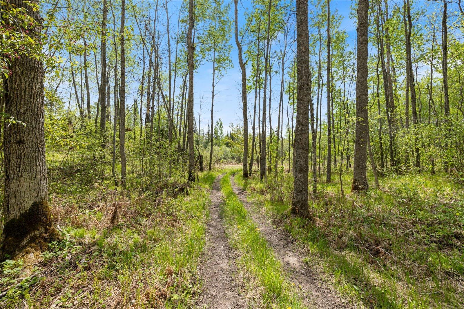 TBD Trout Lake Rd., Bovey, Minnesota image 7