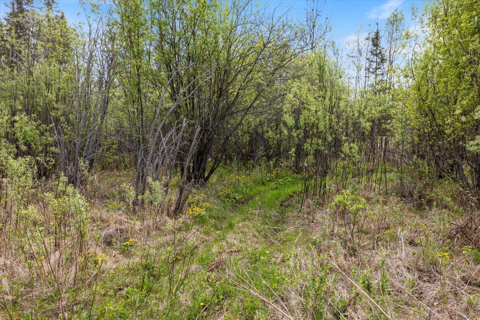TBD Trout Lake Rd., Bovey, Minnesota image 17