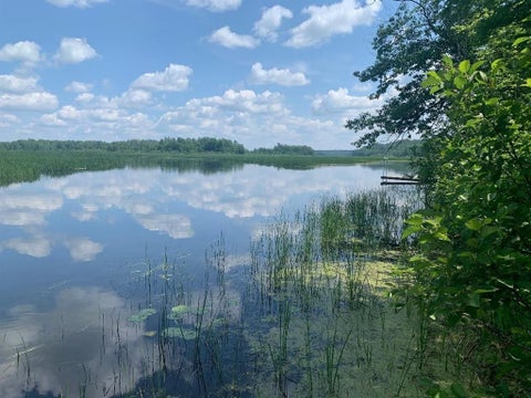 Vacant Land For Sale - 00 County Road Y<br/> Gordon, WI 54838