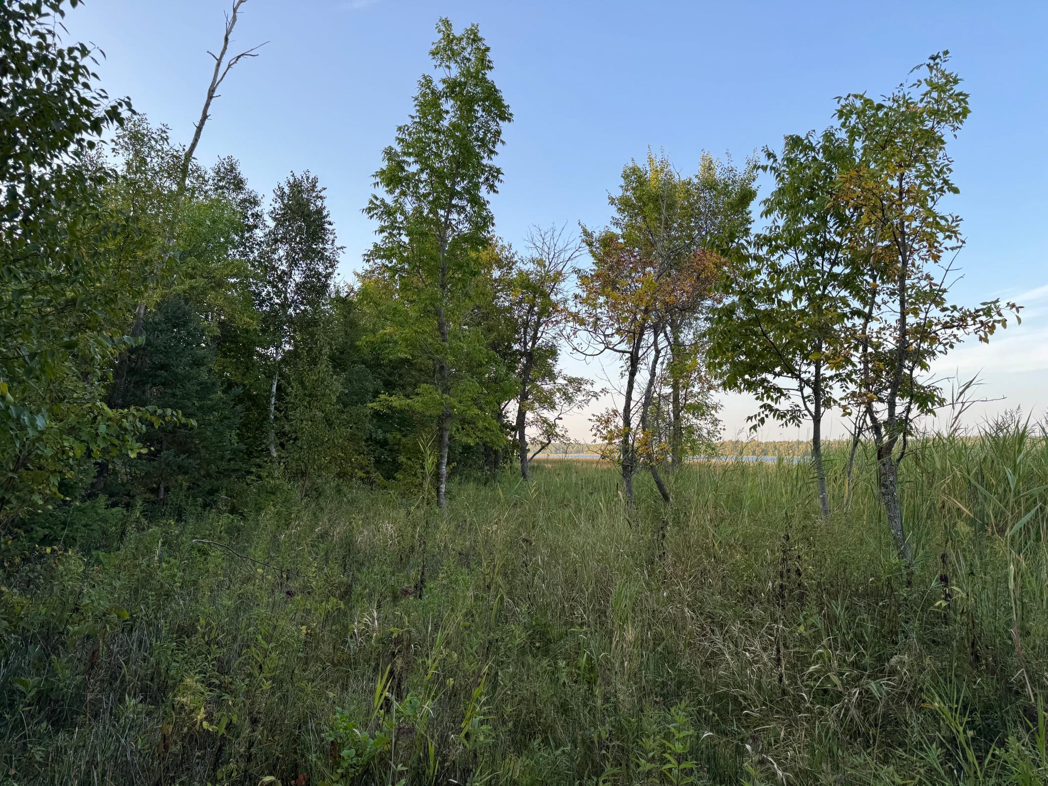 (LOT A) TBD NE Rock Lake Road, Rochert, Minnesota image 46