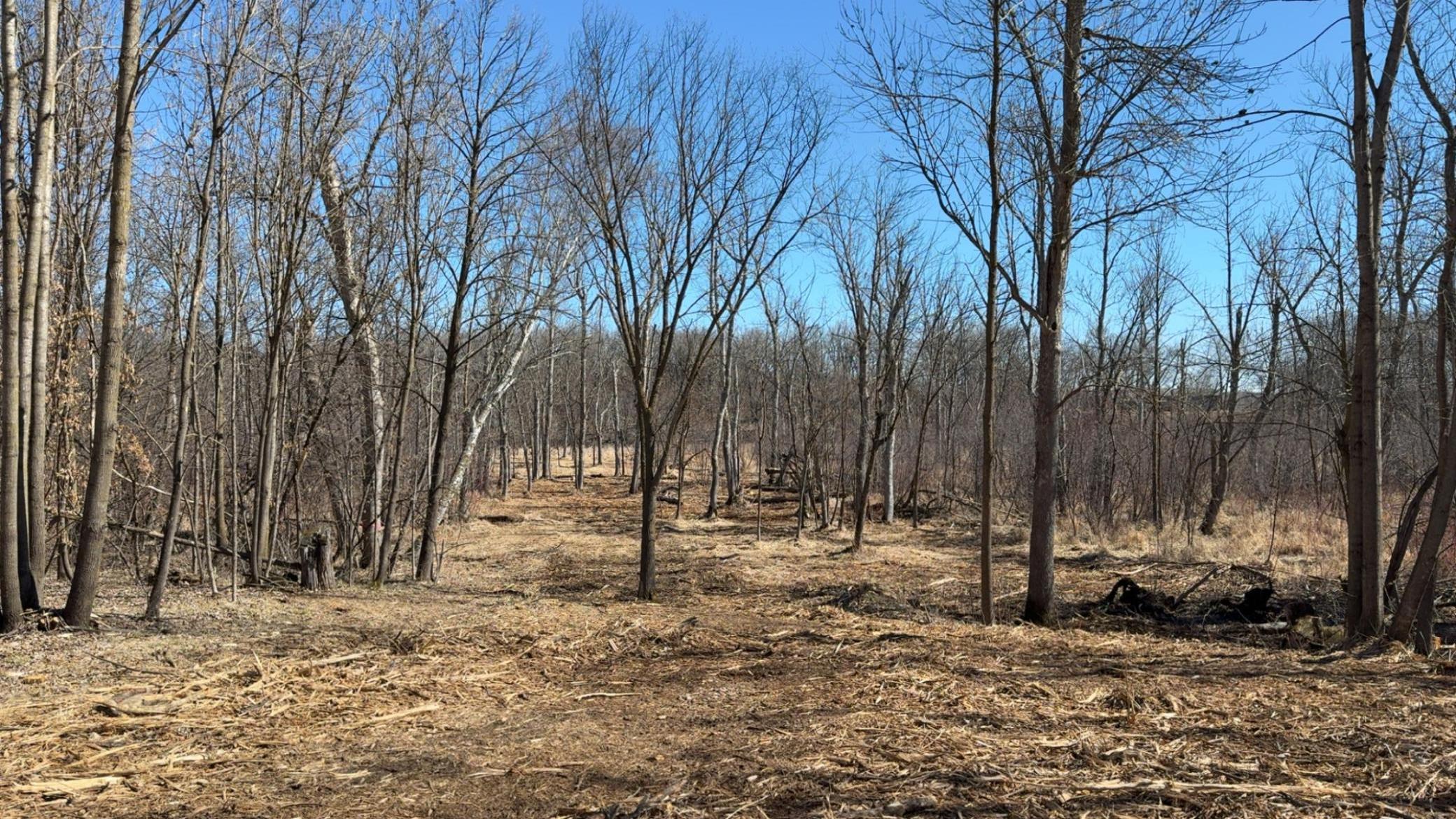 39xx Sandy Lane, Perham, Minnesota image 14