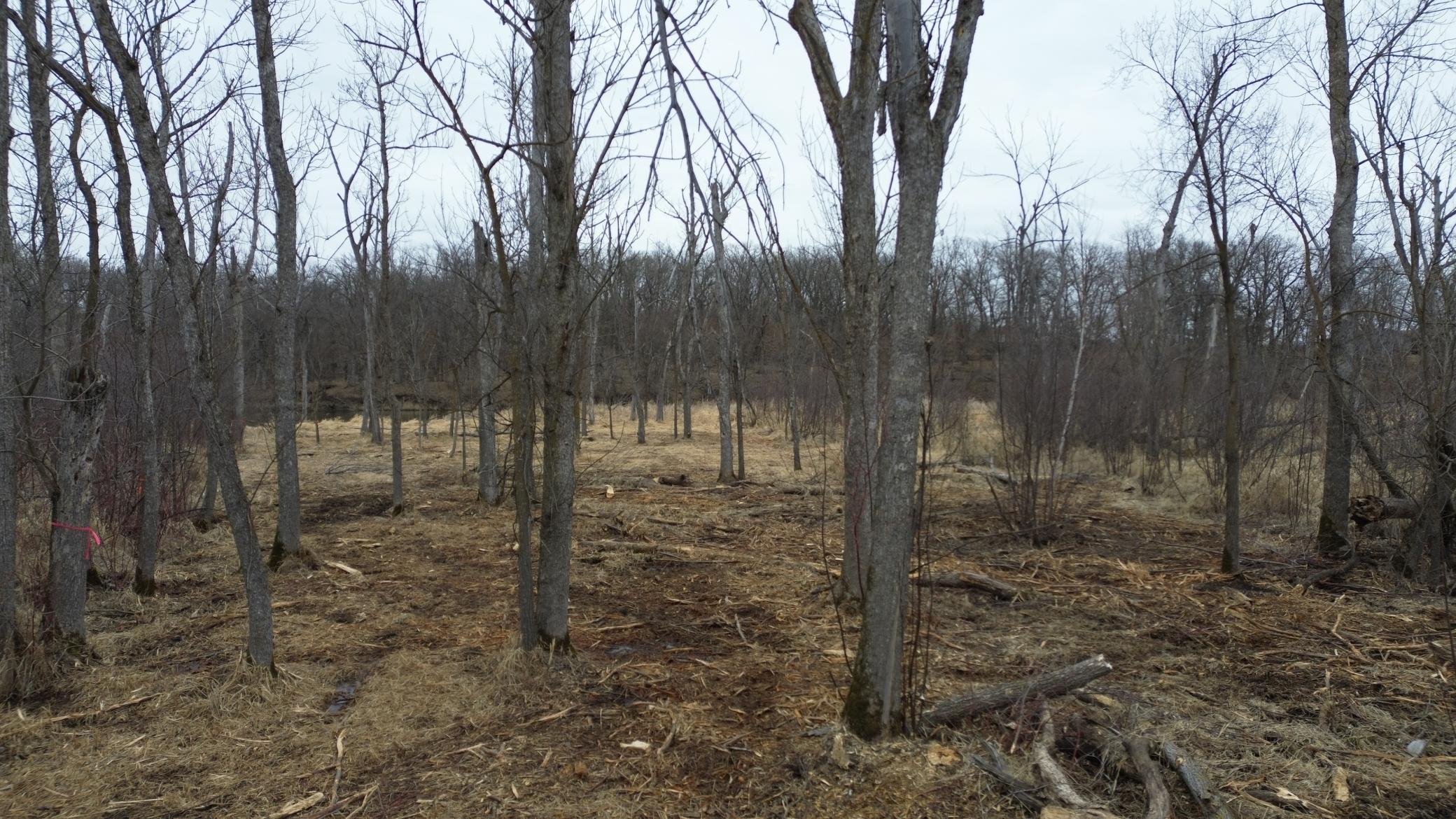 39xx Sandy Lane, Perham, Minnesota image 12