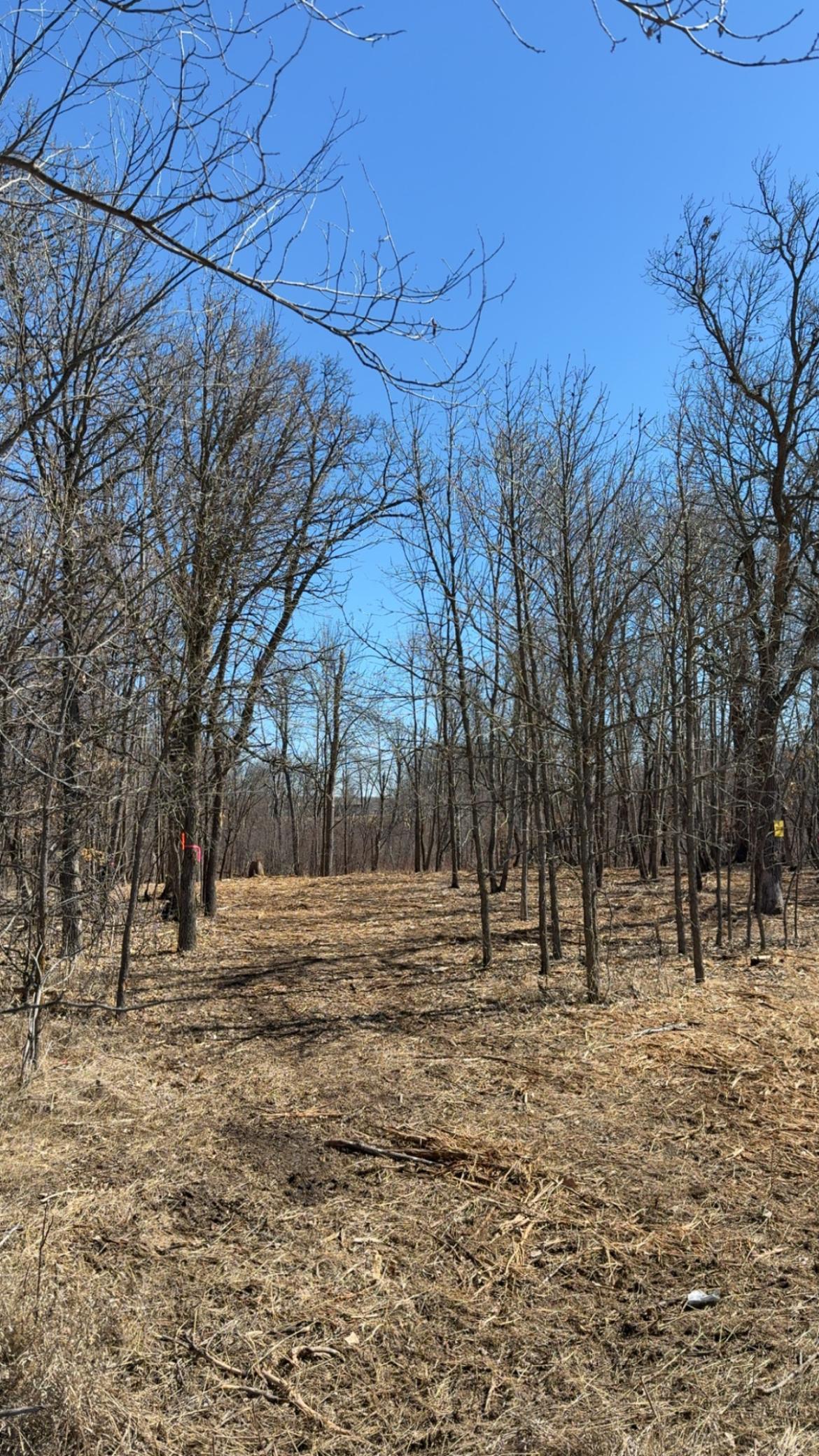 39xx Sandy Lane, Perham, Minnesota image 15