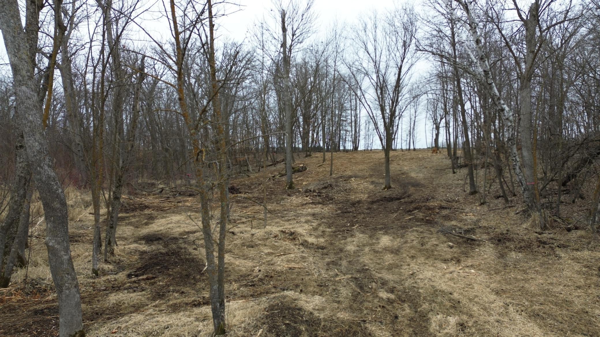 39xx Sandy Lane, Perham, Minnesota image 13