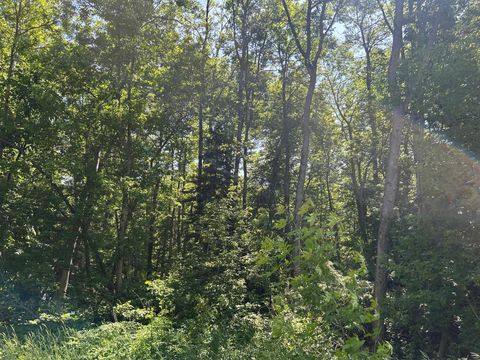 Vacant Land For Sale - TBD Town Rd 7<br/> Koochiching County, Northome, MN 56661