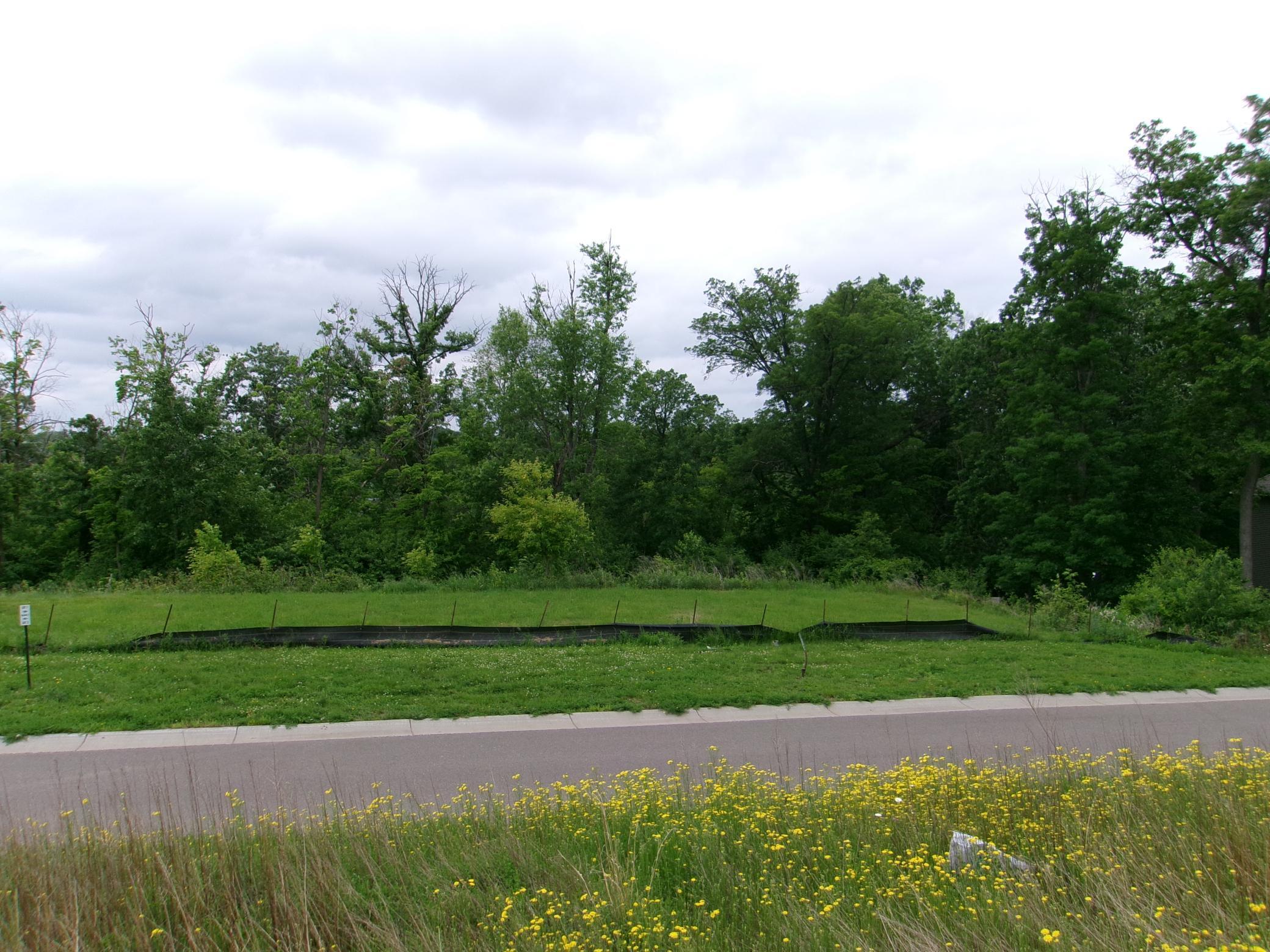 17751 Lincoln Street, Elk River, Minnesota image 1