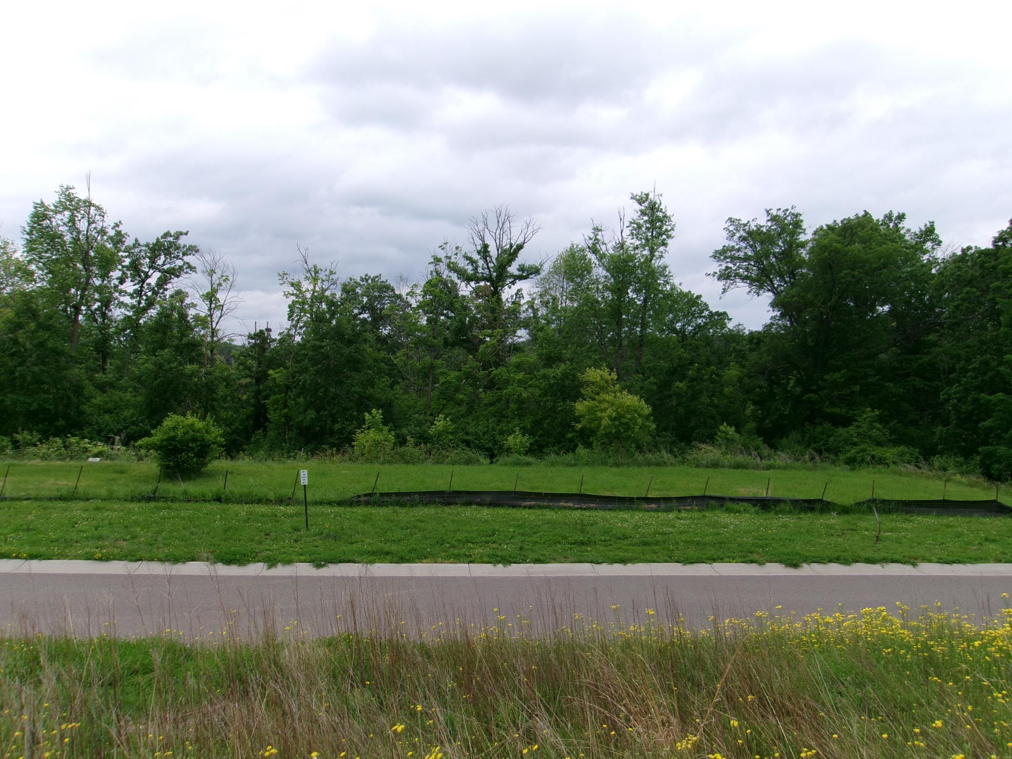 17751 Lincoln Street, Elk River, Minnesota image 3