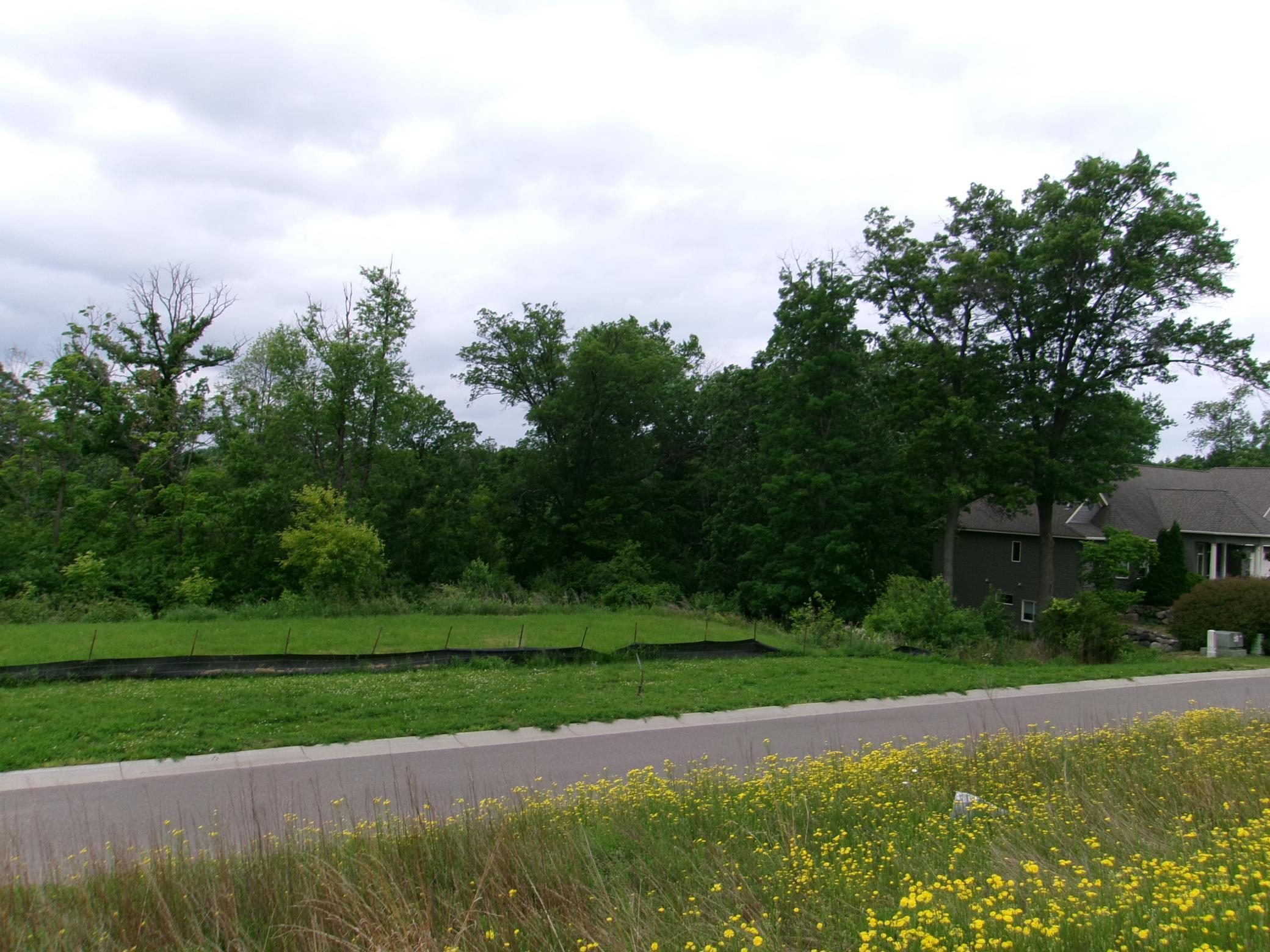 17751 Lincoln Street, Elk River, Minnesota image 7