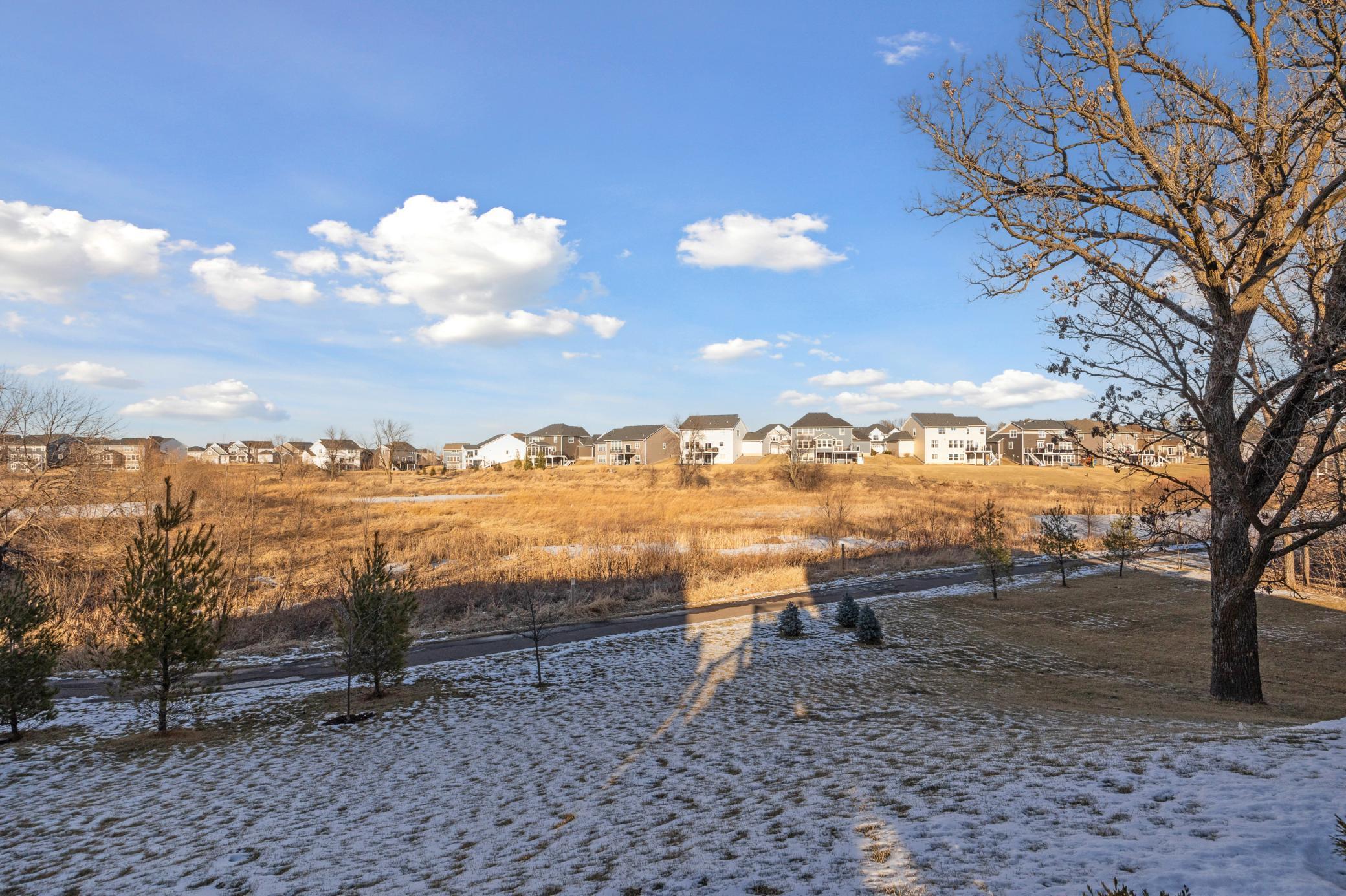 19438 Meadow Rue Court, Hamel, Minnesota image 48