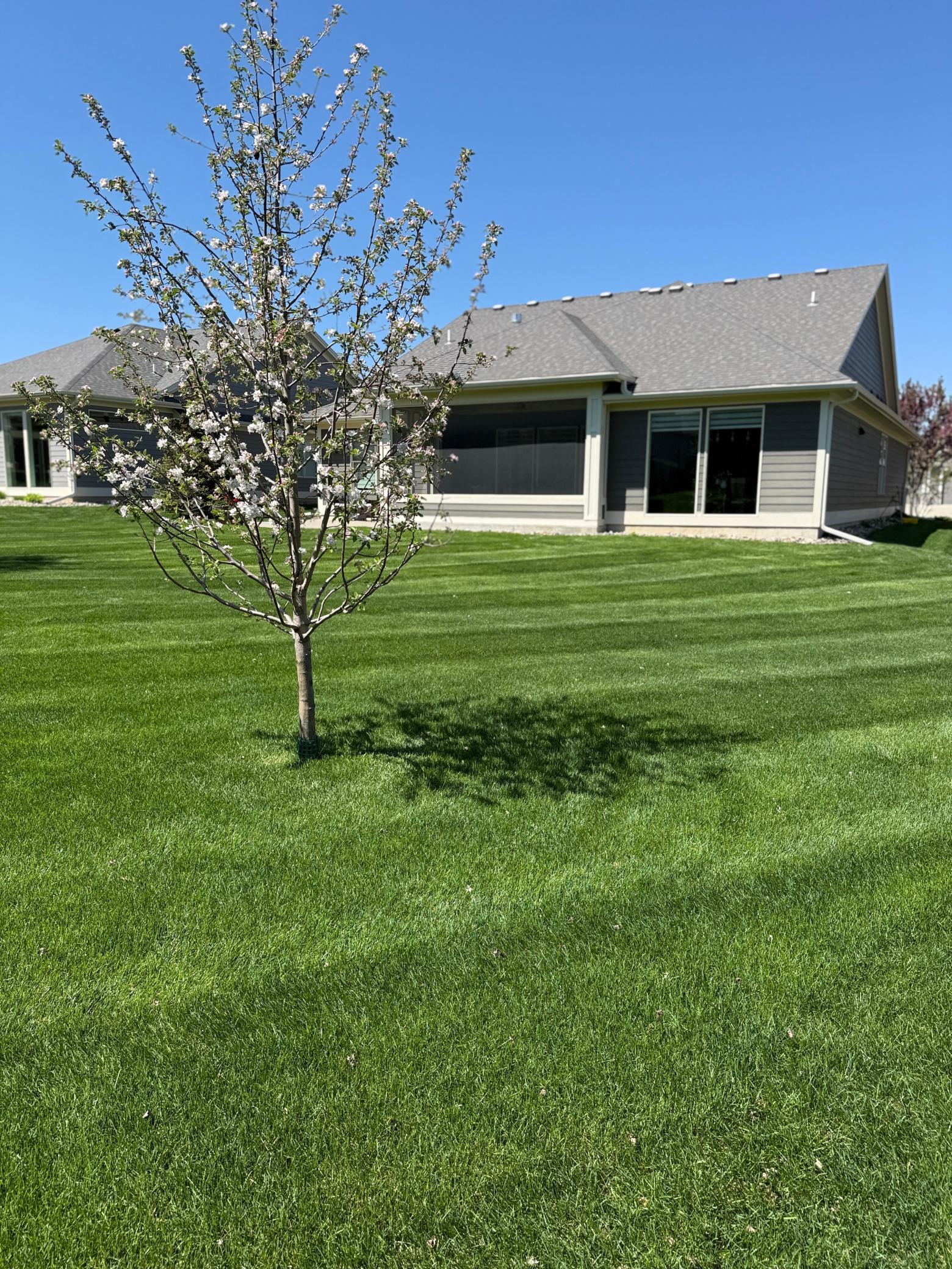 2382 Scenic Park Place, Rochester, Minnesota image 33