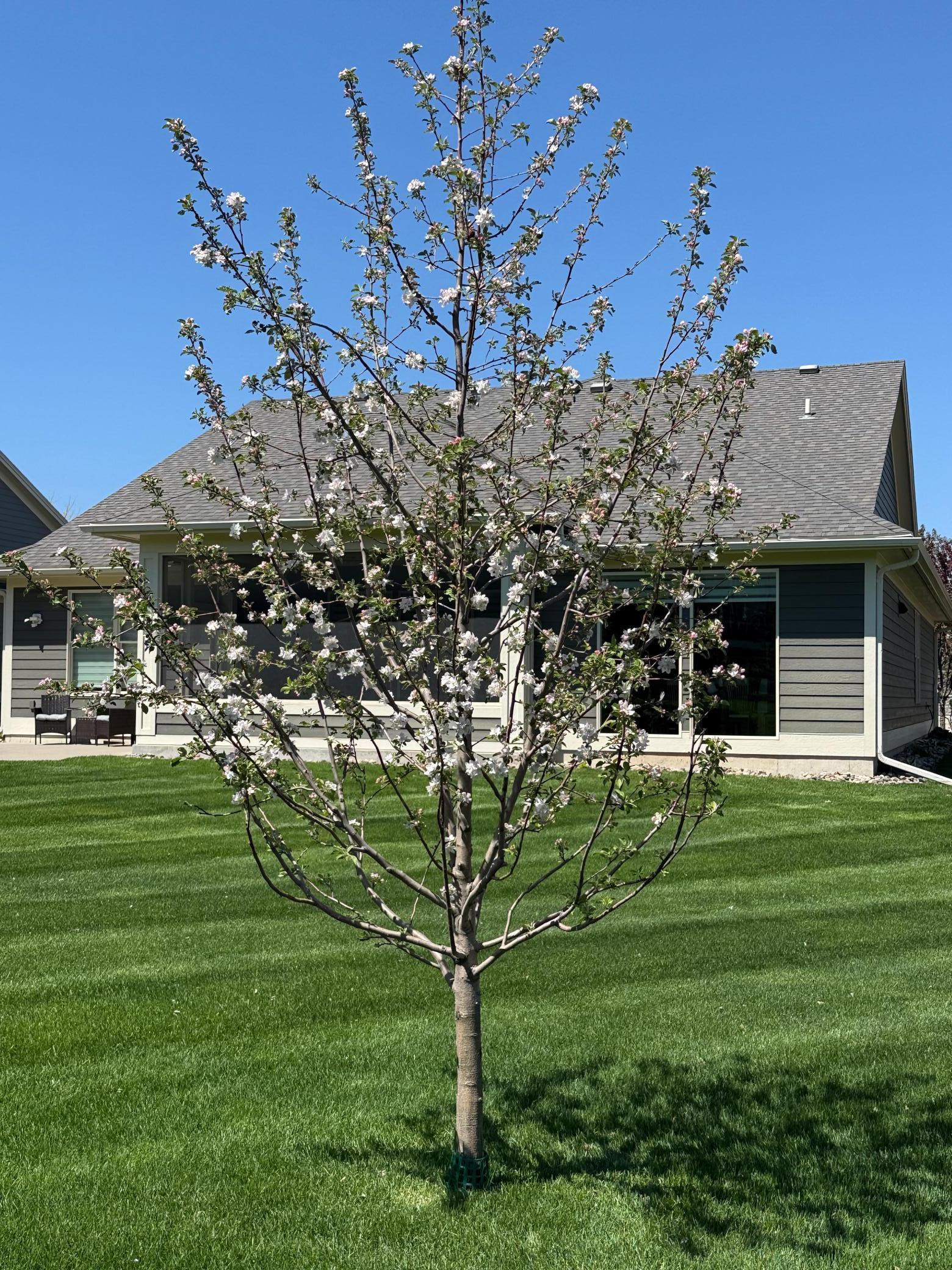 2382 Scenic Park Place, Rochester, Minnesota image 37