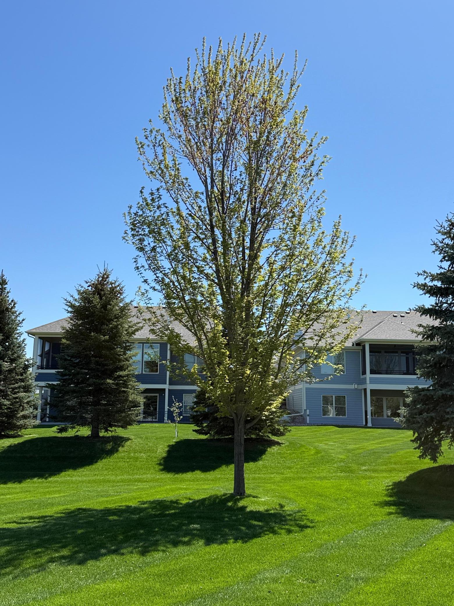 2382 Scenic Park Place, Rochester, Minnesota image 40