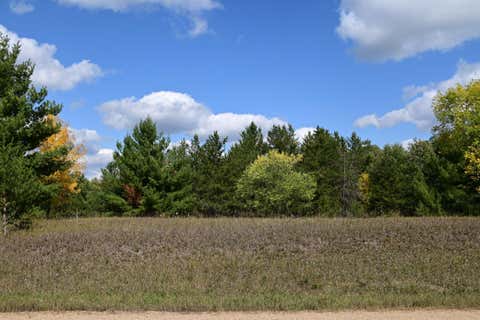 Vacant Land For Sale - TBD Oak Drive<br/> Browerville, MN 56438