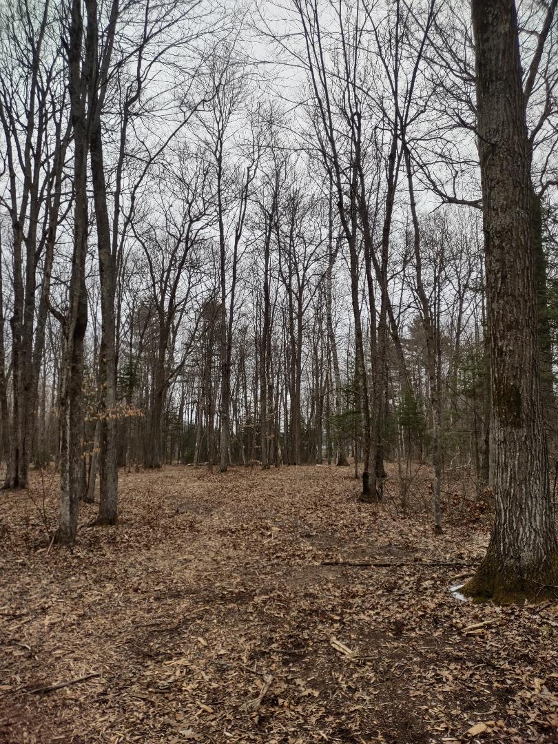Lot 2 XXX Blaisziks Bay Lane, Hayward, Wisconsin image 8