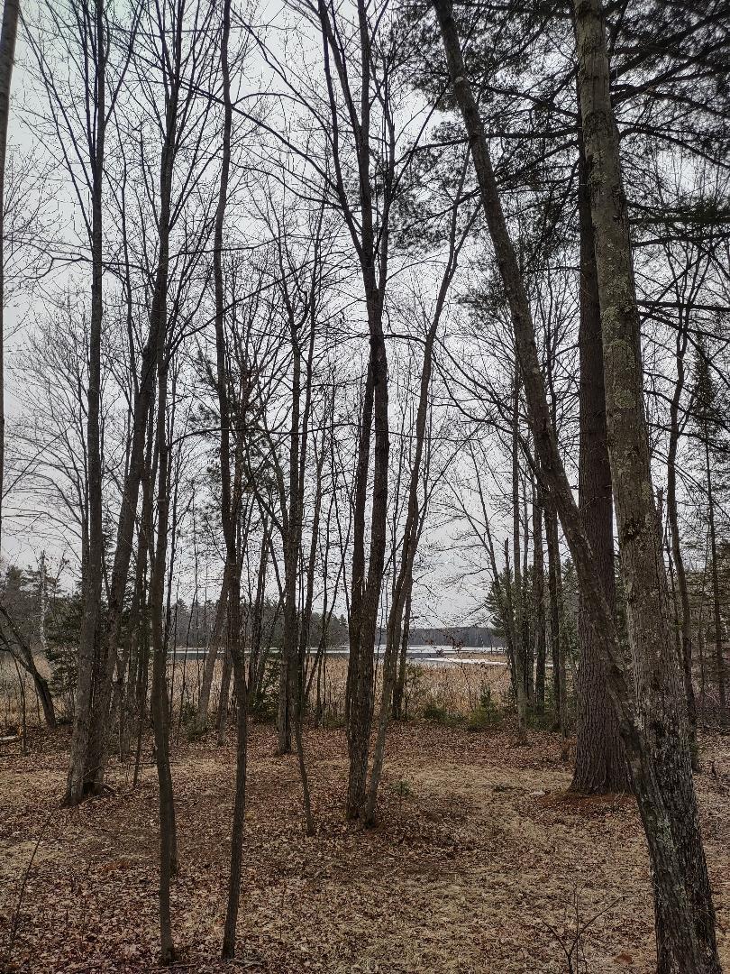 Lot 2 XXX Blaisziks Bay Lane, Hayward, Wisconsin image 6