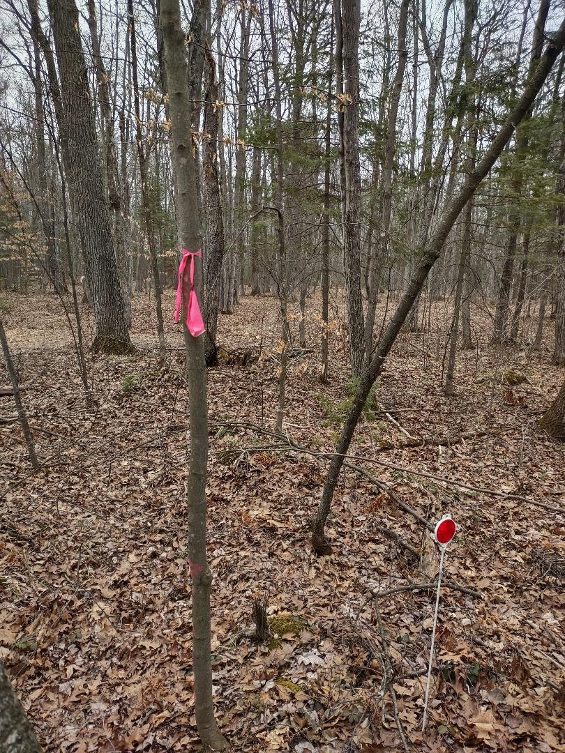 Lot 2 XXX Blaisziks Bay Lane, Hayward, Wisconsin image 18