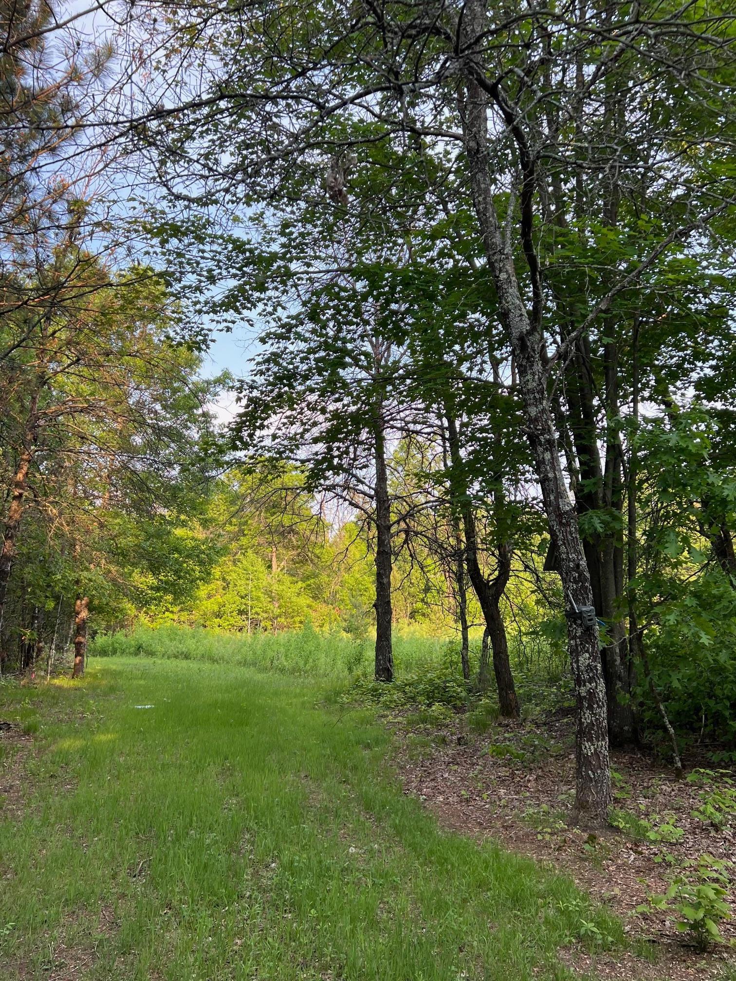 Xxxxx Galesky Road, Grantsburg, Wisconsin image 4