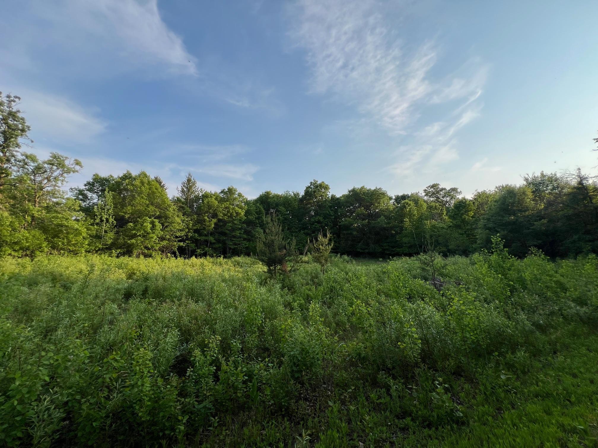 Xxxxx Galesky Road, Grantsburg, Wisconsin image 8