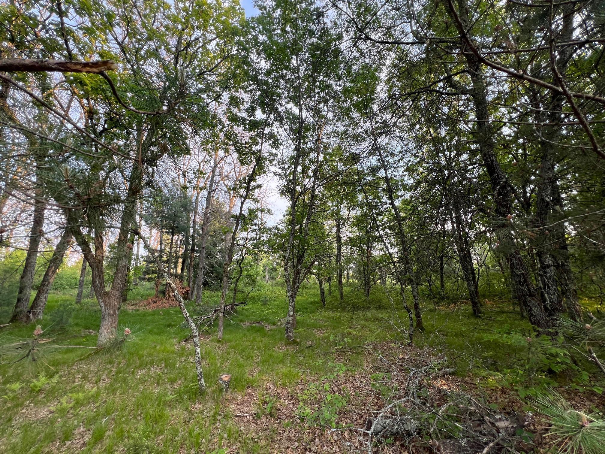Xxxxx Galesky Road, Grantsburg, Wisconsin image 10