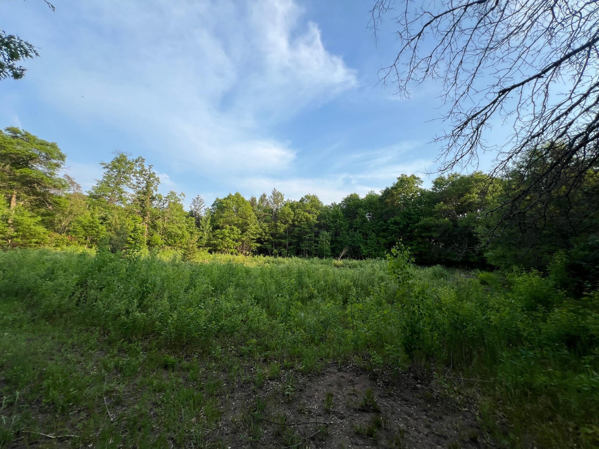 Xxxxx Galesky Road, Grantsburg, Wisconsin image 7