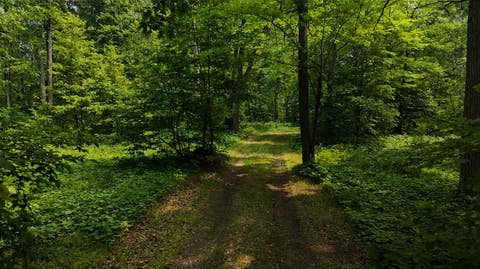 Vacant Land For Sale - TBD BB Mann Road<br/> Spooner, WI 54801