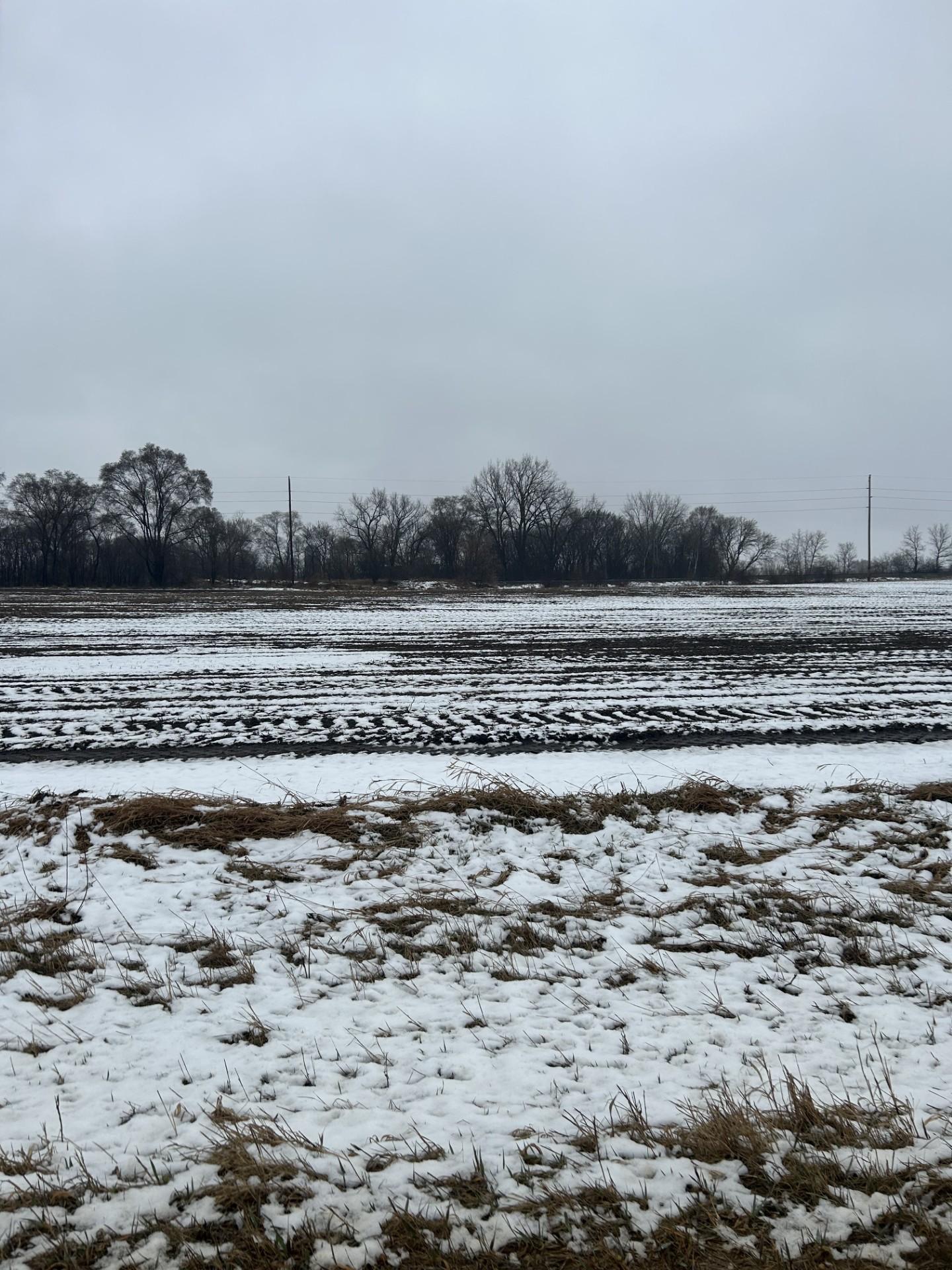 Lot 2 Block 1 Cannon River Blvd, Randolph, Minnesota image 1