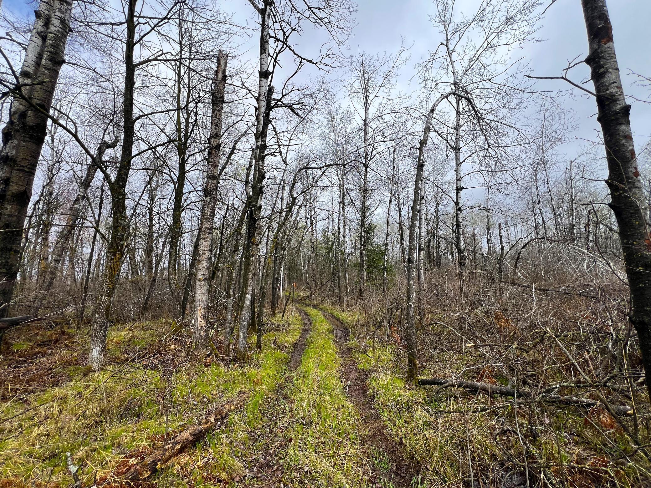 62126 Tamarack River Road, Sandstone, Minnesota image 20