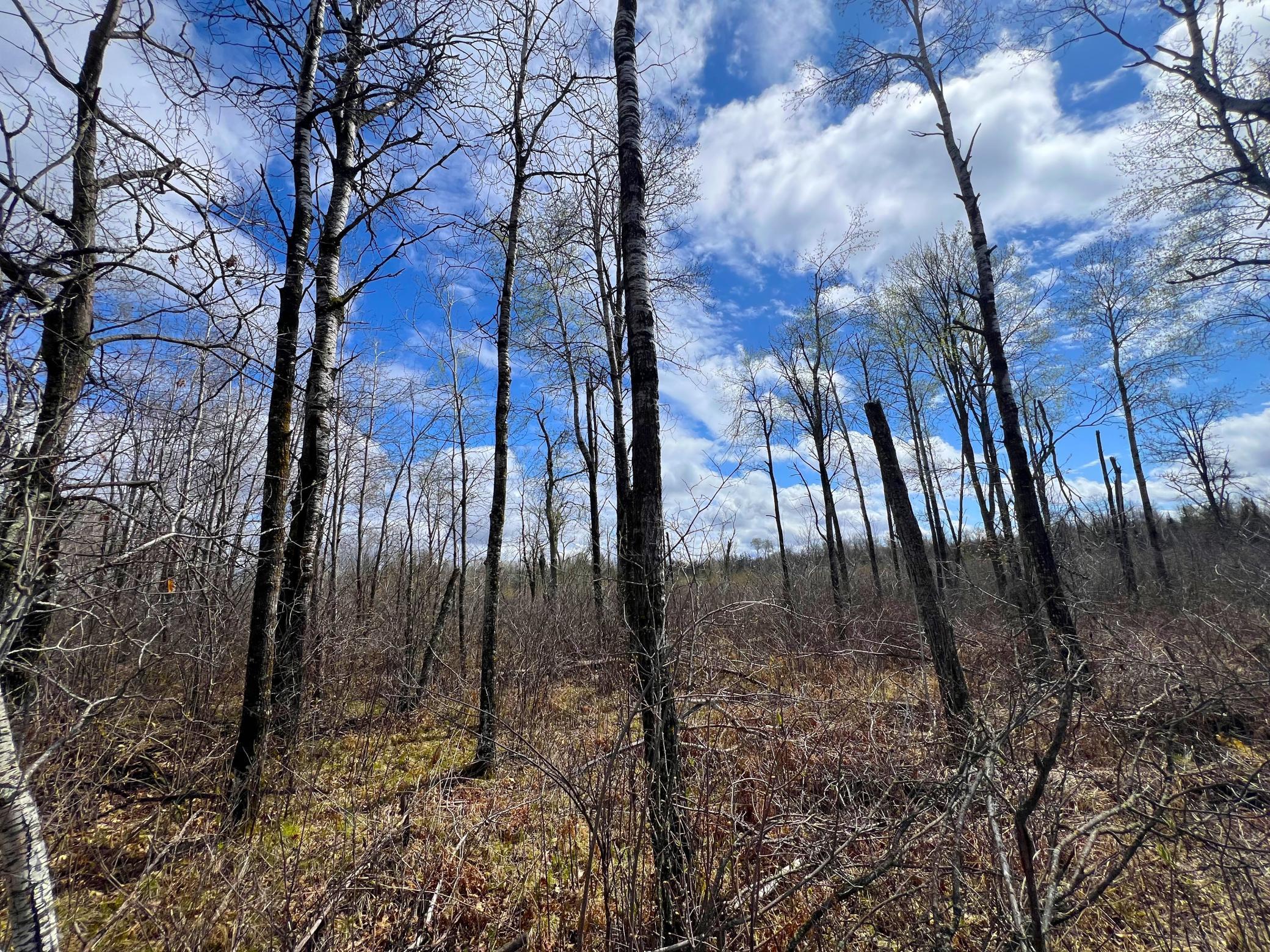 62126 Tamarack River Road, Sandstone, Minnesota image 36