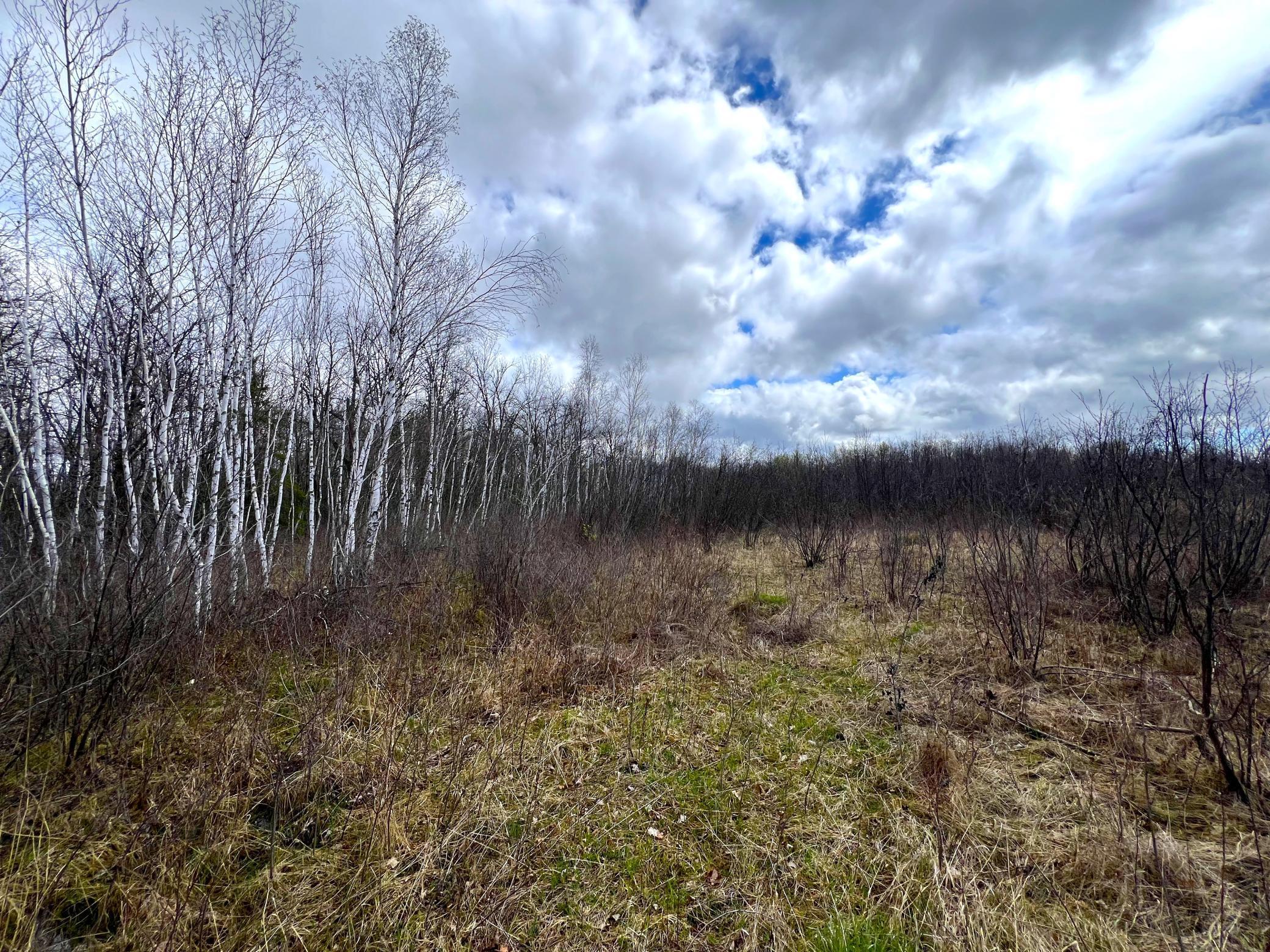 62126 Tamarack River Road, Sandstone, Minnesota image 35