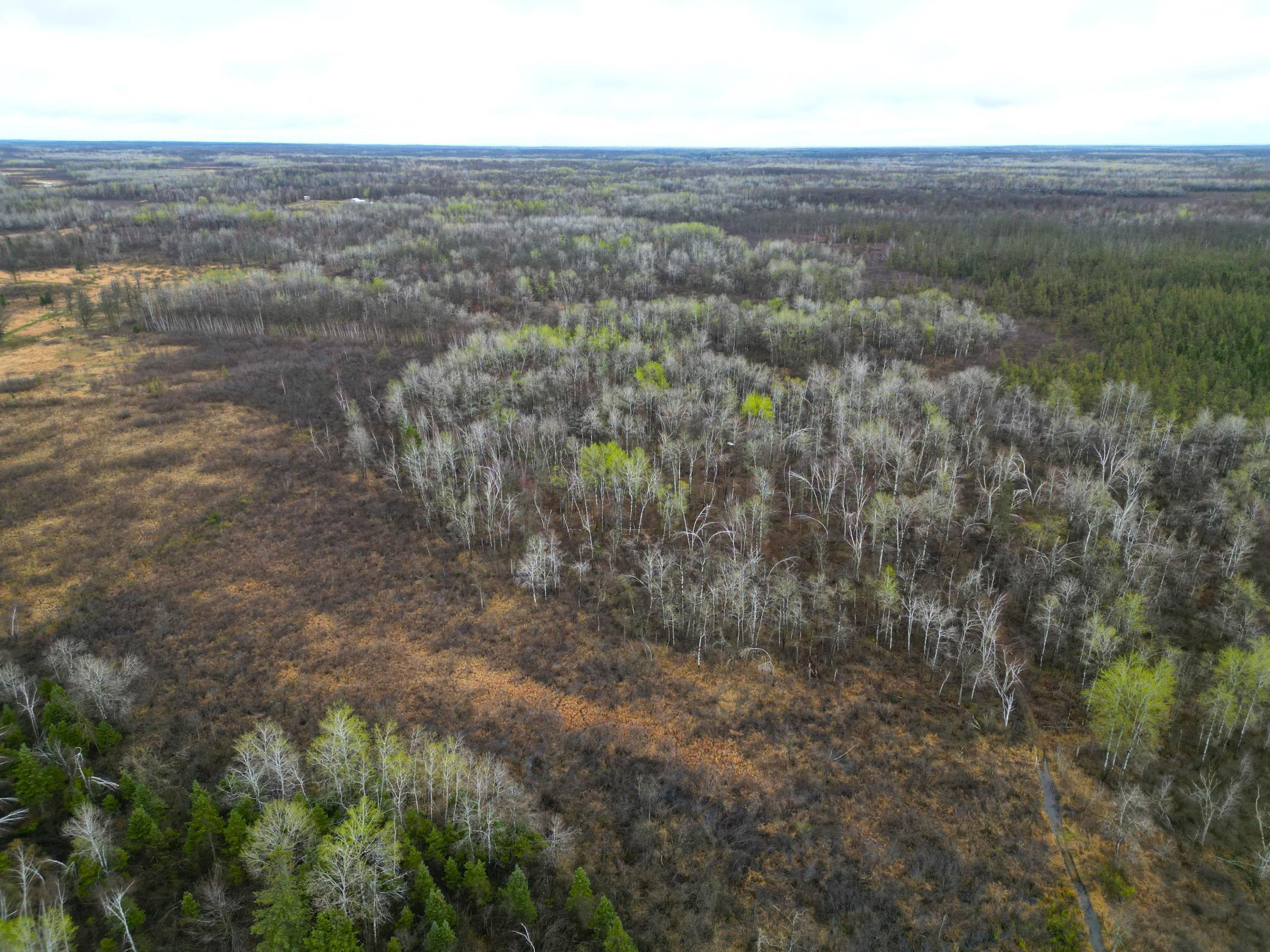 62126 Tamarack River Road, Sandstone, Minnesota image 7