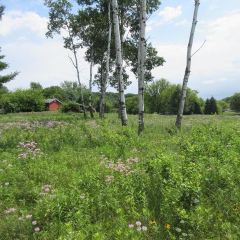 Vacant Land For Sale - LOT 12 516th Street<br/> Dunn County, Menomonie, WI 54751