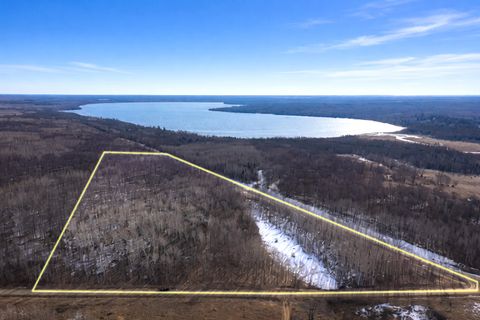 Vacant Land For Sale - TBD- 315th Avenue<br/> Hubbard County, Laporte, MN 56461