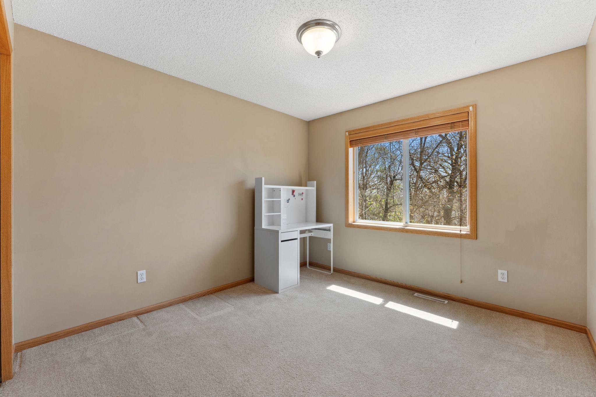325 Pleasant Lane, Chaska, Minnesota image 11