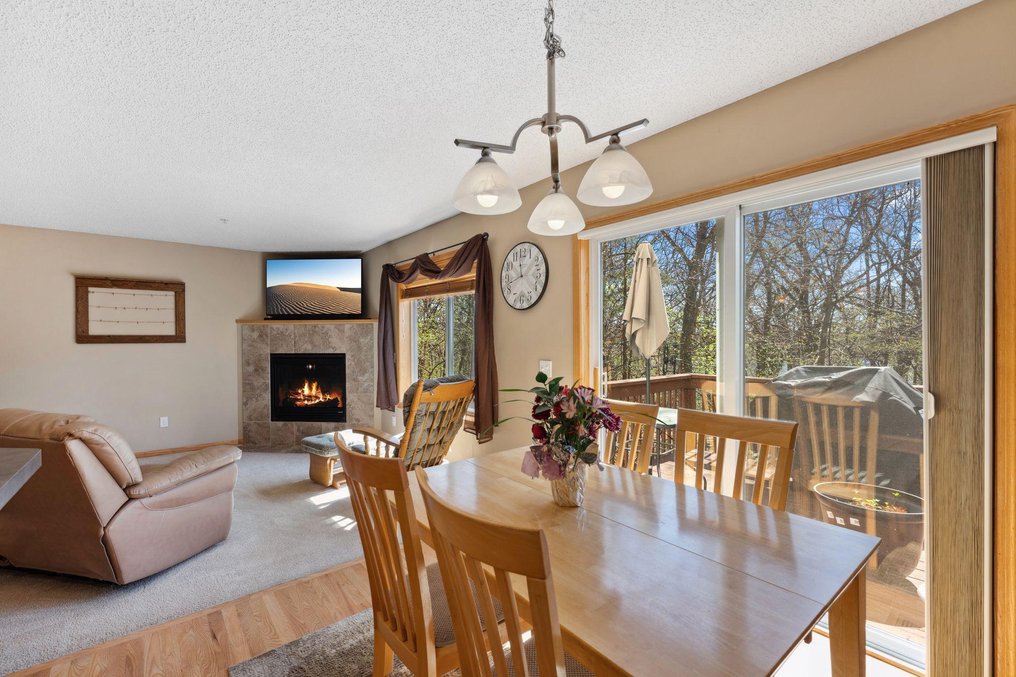 325 Pleasant Lane, Chaska, Minnesota image 8