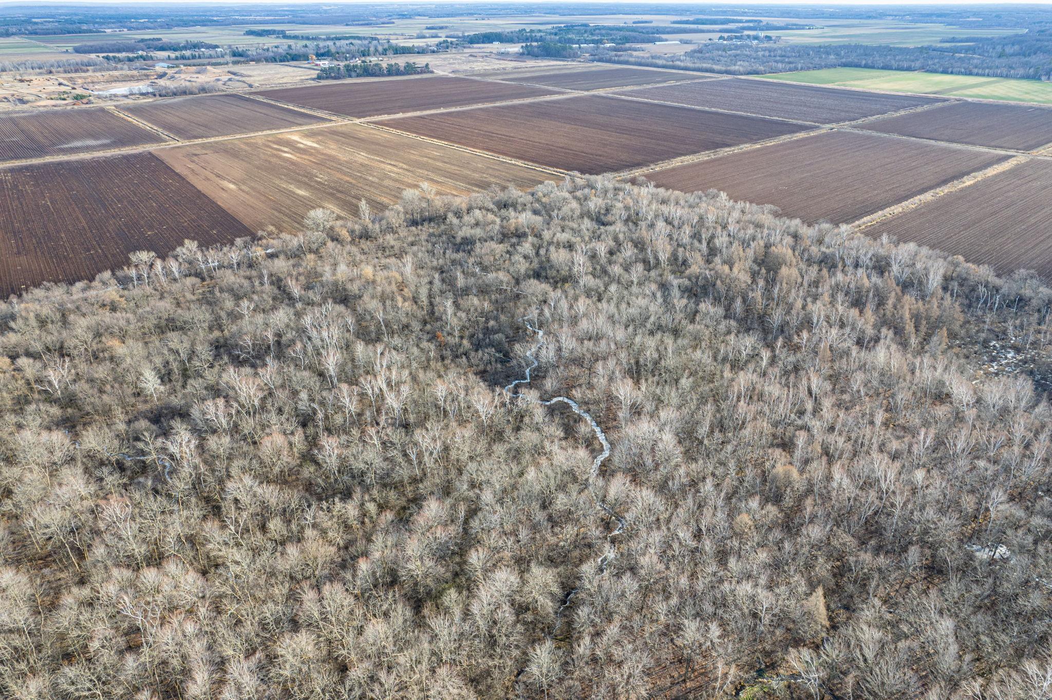 428xx Forest Boulevard, Harris, Minnesota image 9