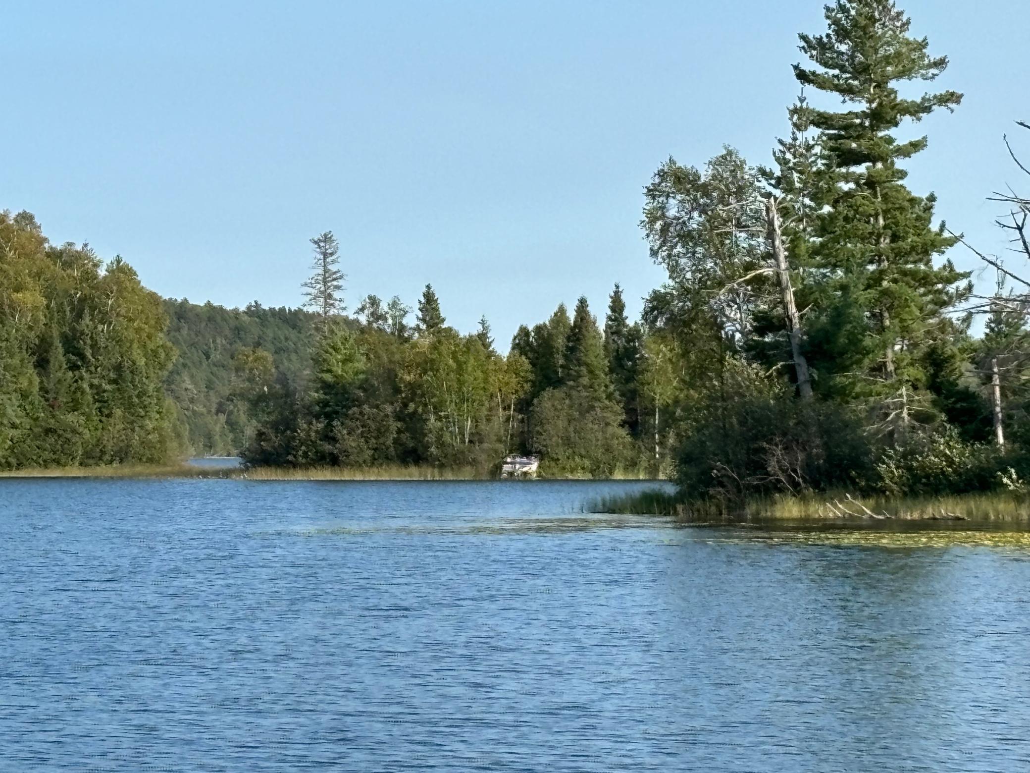 21482 Five Island Lake Road, Cook, Minnesota image 5