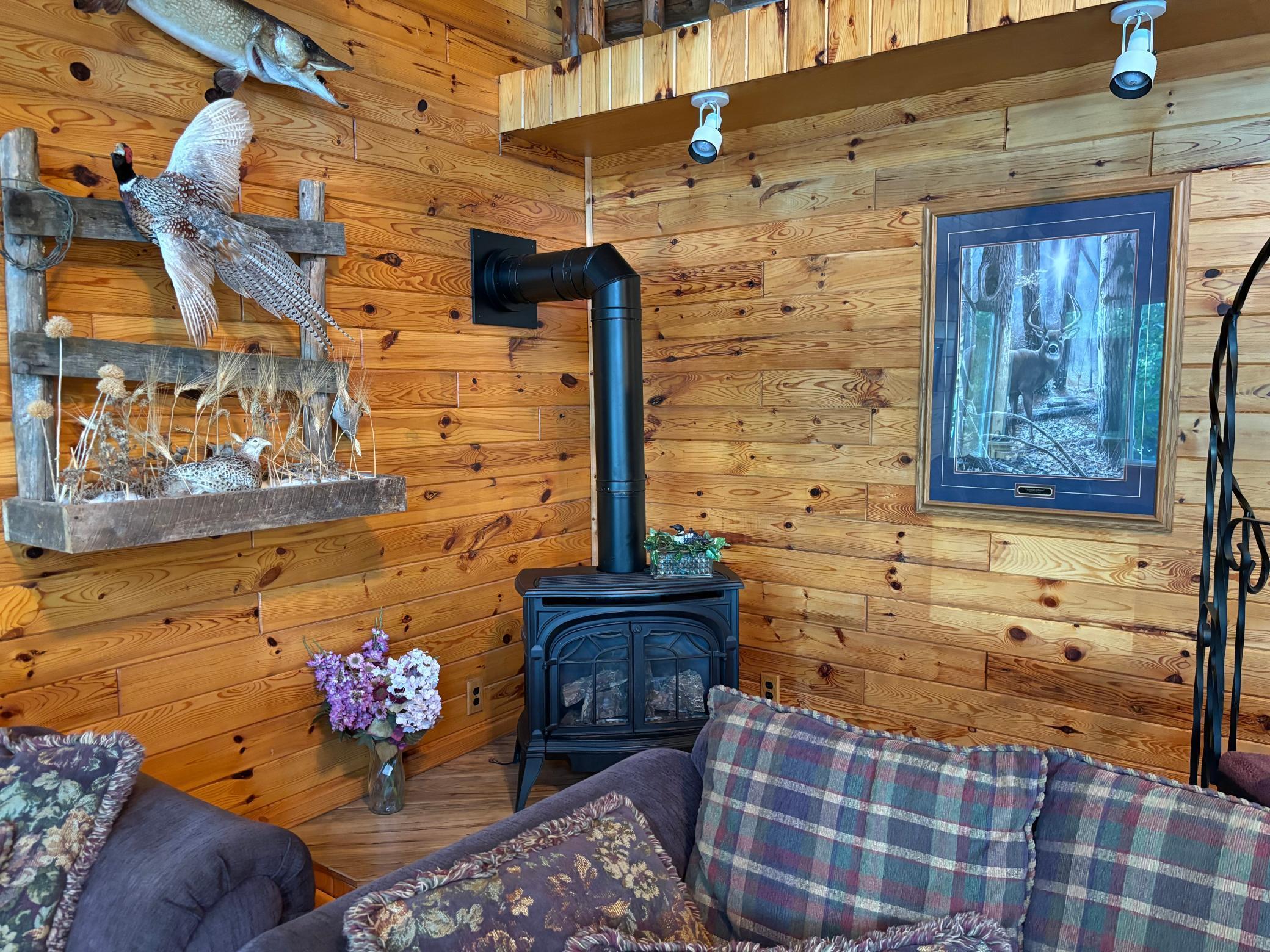 21482 Five Island Lake Road, Cook, Minnesota image 11