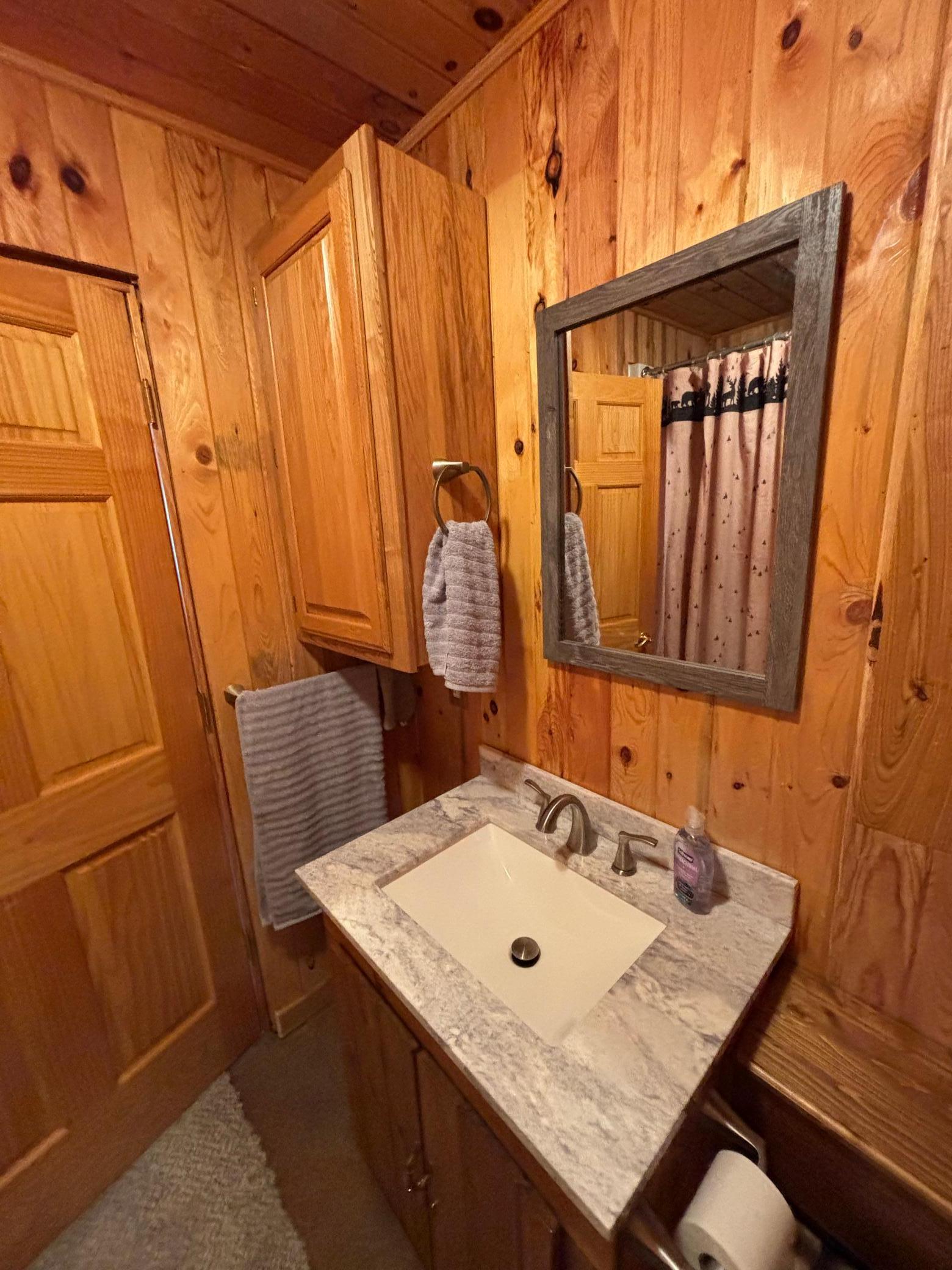 21482 Five Island Lake Road, Cook, Minnesota image 16